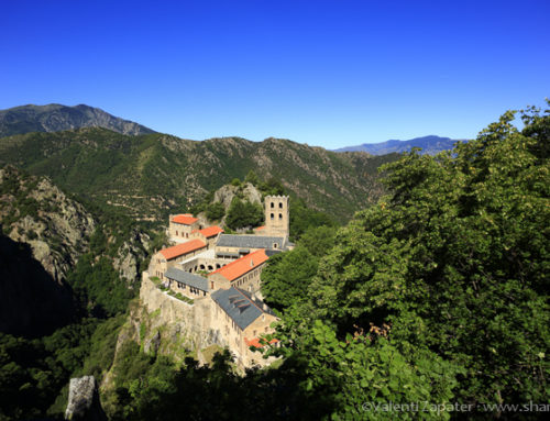 Nuevo libro sobre monasterios de Catalunya y rutas a pie